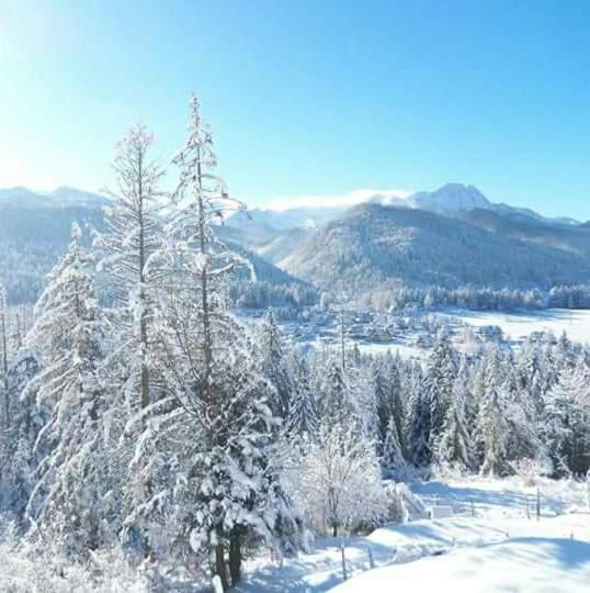 Pokoje Goscinne Anna Bobak Zakopane Dış mekan fotoğraf